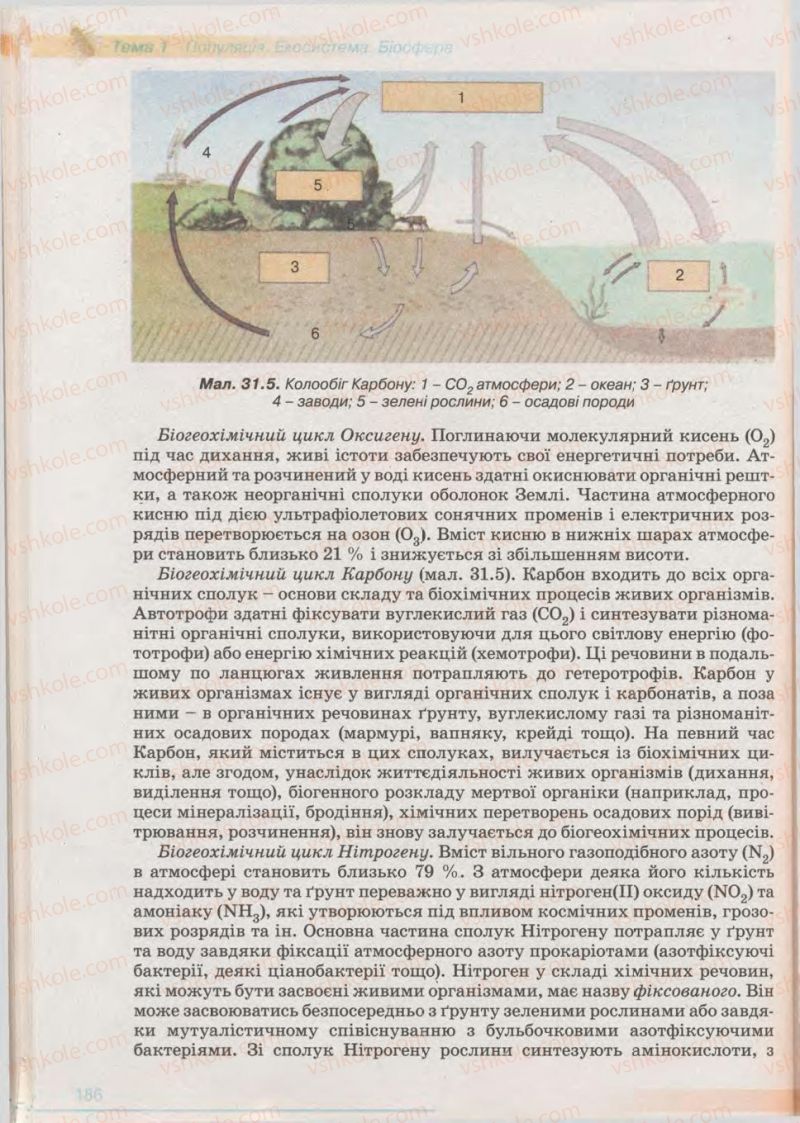 Страница 186 | Підручник Біологія 11 клас П.Г. Балан, Ю.Г. Вервес 2011 Академічний рівень