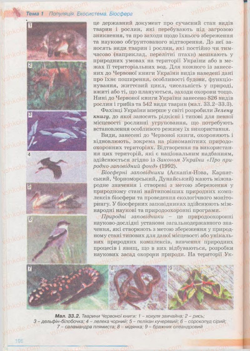 Страница 196 | Підручник Біологія 11 клас П.Г. Балан, Ю.Г. Вервес 2011 Академічний рівень