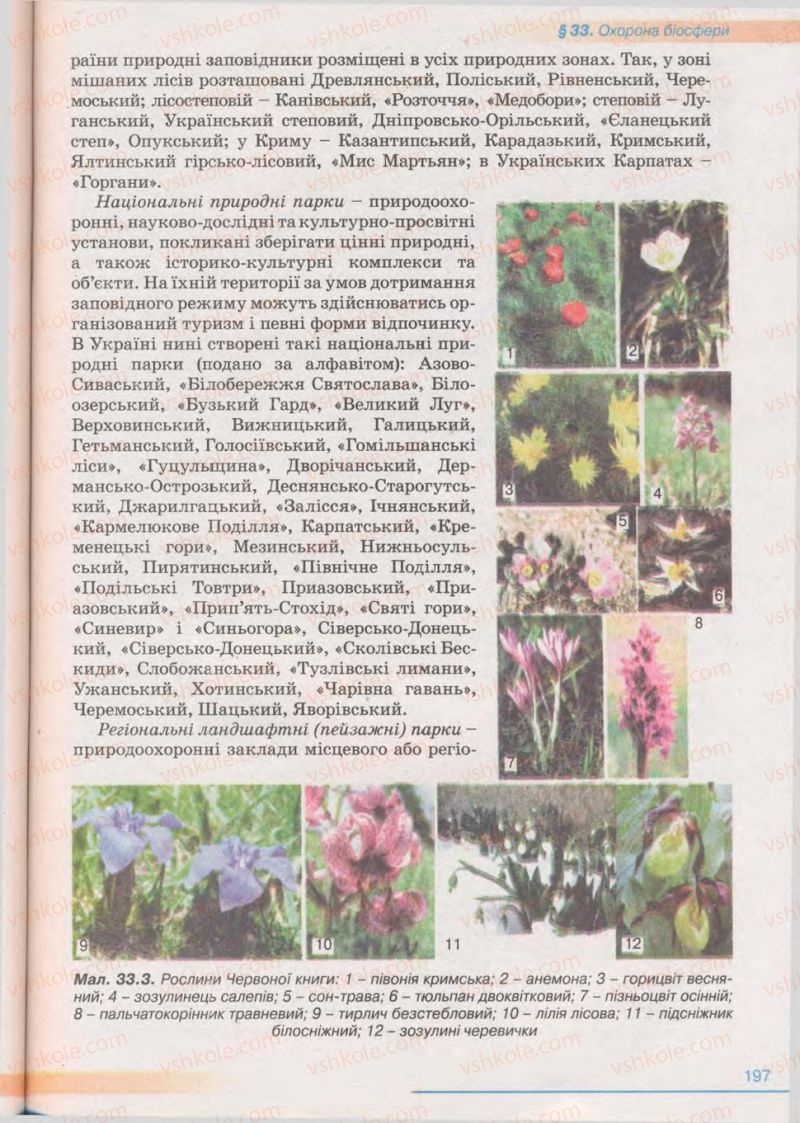 Страница 197 | Підручник Біологія 11 клас П.Г. Балан, Ю.Г. Вервес 2011 Академічний рівень
