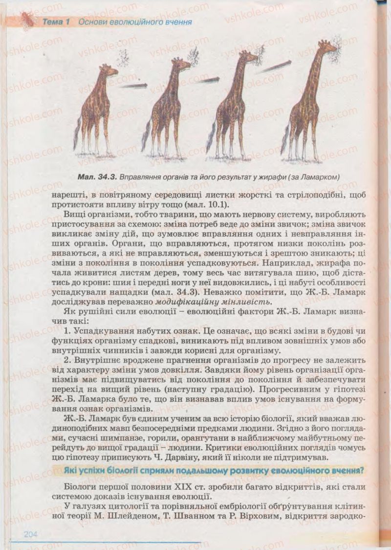 Страница 204 | Підручник Біологія 11 клас П.Г. Балан, Ю.Г. Вервес 2011 Академічний рівень