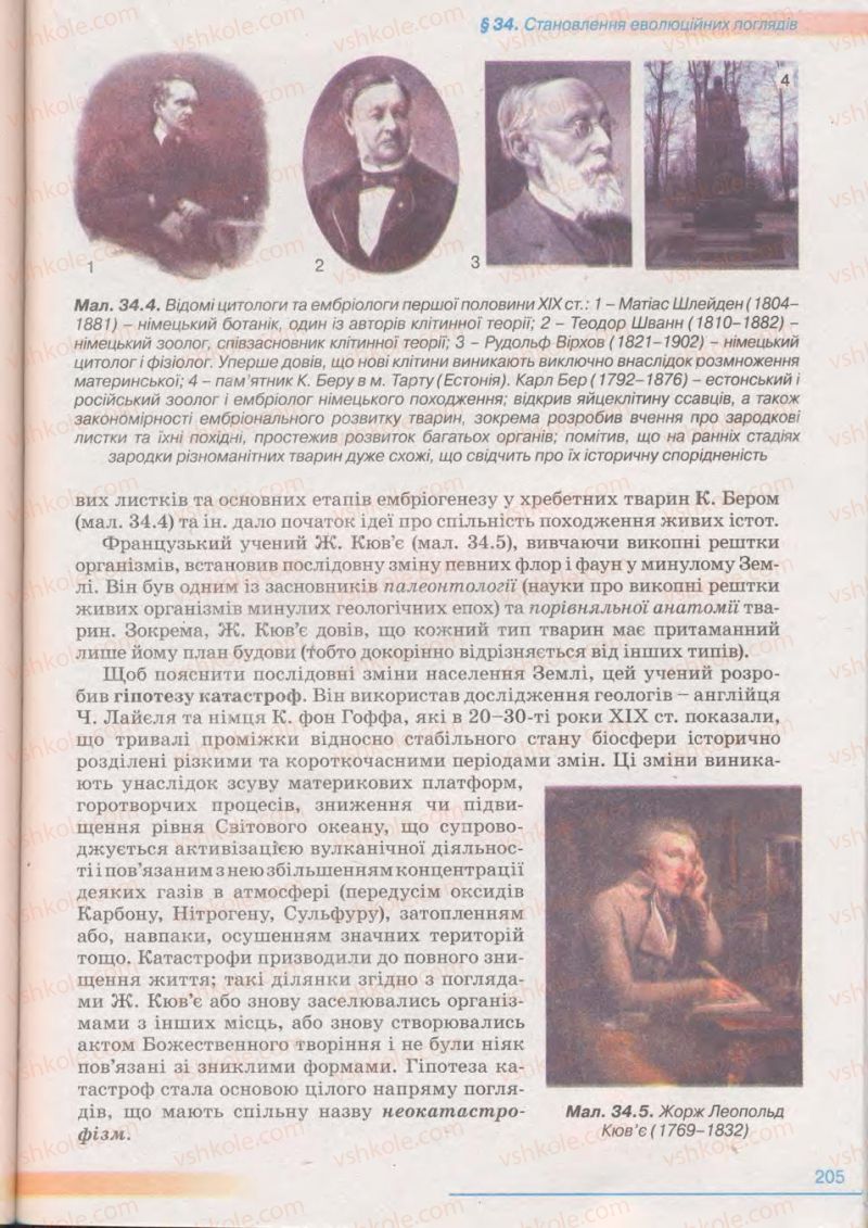 Страница 205 | Підручник Біологія 11 клас П.Г. Балан, Ю.Г. Вервес 2011 Академічний рівень