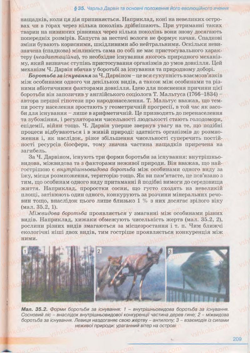 Страница 209 | Підручник Біологія 11 клас П.Г. Балан, Ю.Г. Вервес 2011 Академічний рівень
