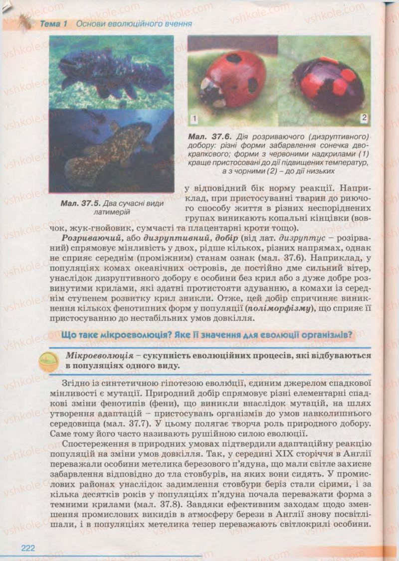 Страница 222 | Підручник Біологія 11 клас П.Г. Балан, Ю.Г. Вервес 2011 Академічний рівень