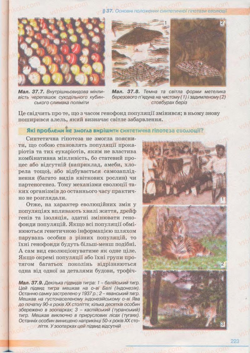 Страница 223 | Підручник Біологія 11 клас П.Г. Балан, Ю.Г. Вервес 2011 Академічний рівень