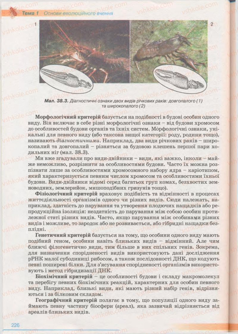 Страница 226 | Підручник Біологія 11 клас П.Г. Балан, Ю.Г. Вервес 2011 Академічний рівень
