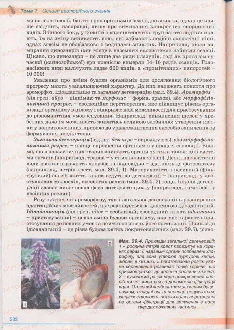 Страница 232 | Підручник Біологія 11 клас П.Г. Балан, Ю.Г. Вервес 2011 Академічний рівень