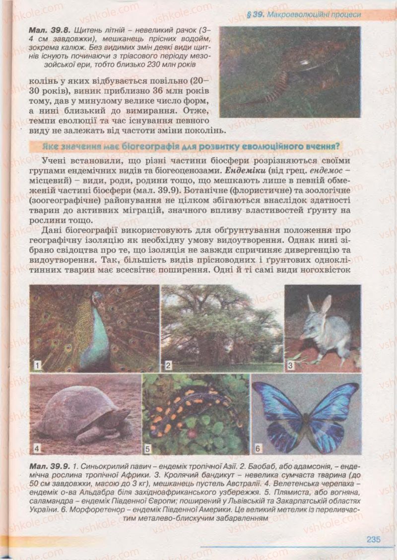 Страница 235 | Підручник Біологія 11 клас П.Г. Балан, Ю.Г. Вервес 2011 Академічний рівень