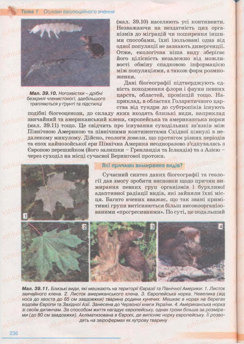 Страница 236 | Підручник Біологія 11 клас П.Г. Балан, Ю.Г. Вервес 2011 Академічний рівень