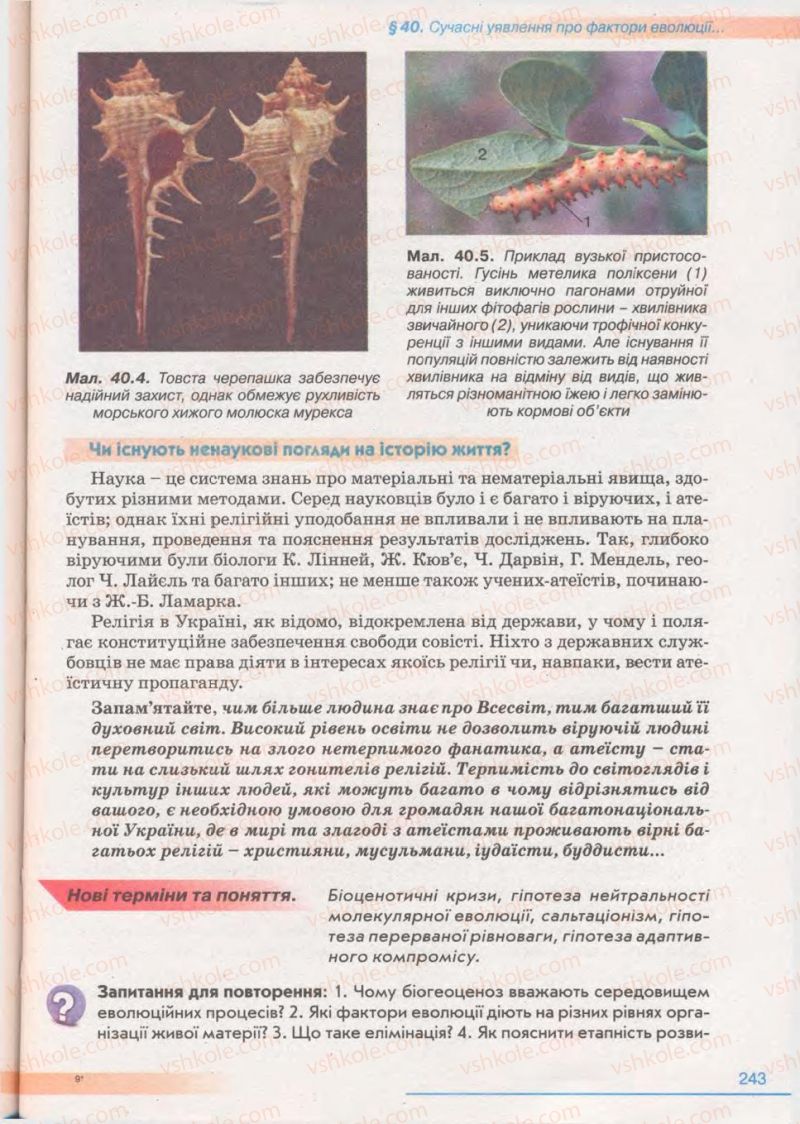 Страница 243 | Підручник Біологія 11 клас П.Г. Балан, Ю.Г. Вервес 2011 Академічний рівень