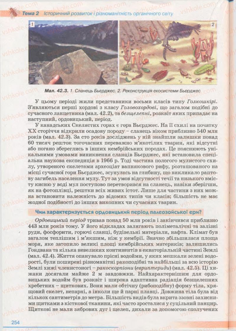 Страница 254 | Підручник Біологія 11 клас П.Г. Балан, Ю.Г. Вервес 2011 Академічний рівень