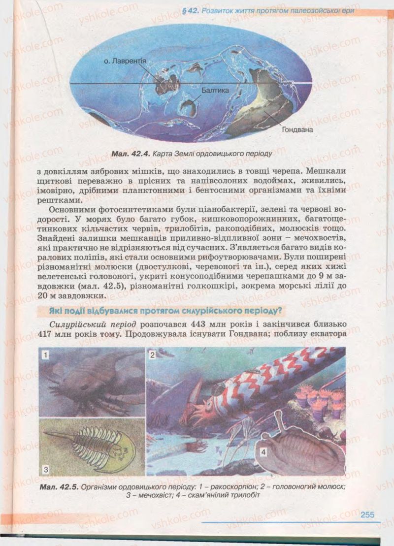Страница 255 | Підручник Біологія 11 клас П.Г. Балан, Ю.Г. Вервес 2011 Академічний рівень