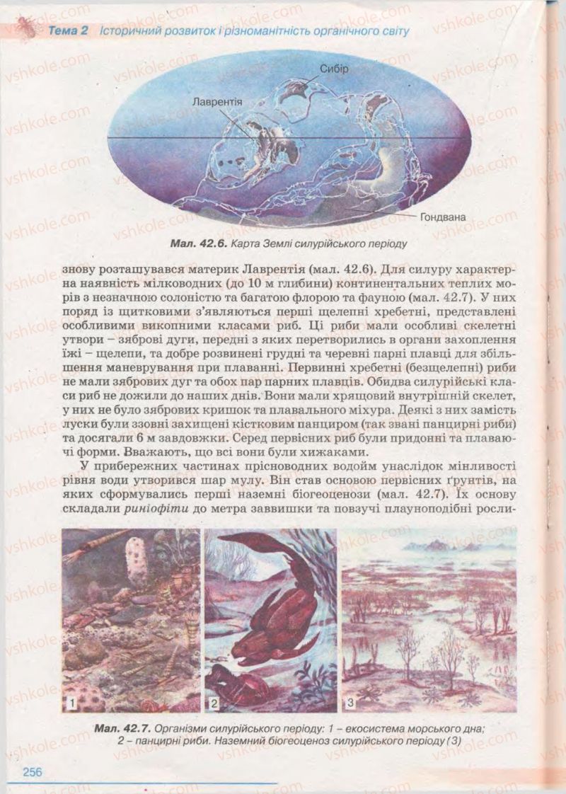 Страница 256 | Підручник Біологія 11 клас П.Г. Балан, Ю.Г. Вервес 2011 Академічний рівень