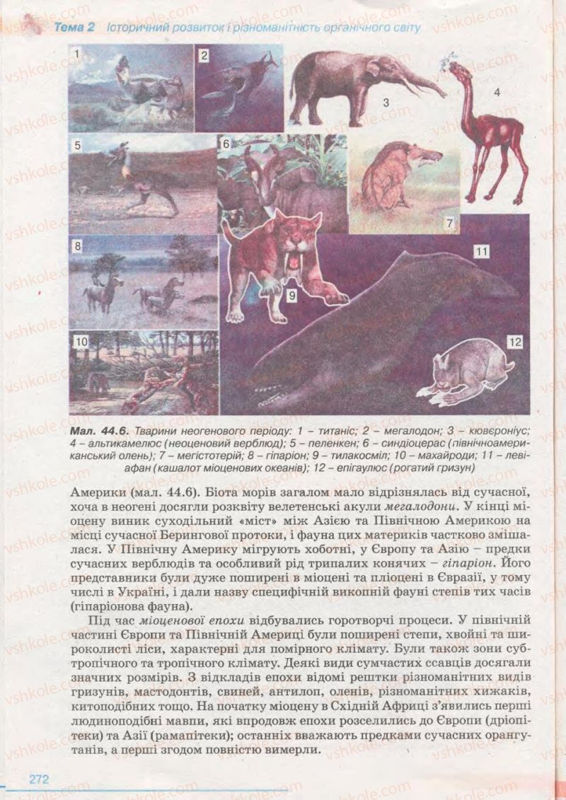 Страница 272 | Підручник Біологія 11 клас П.Г. Балан, Ю.Г. Вервес 2011 Академічний рівень