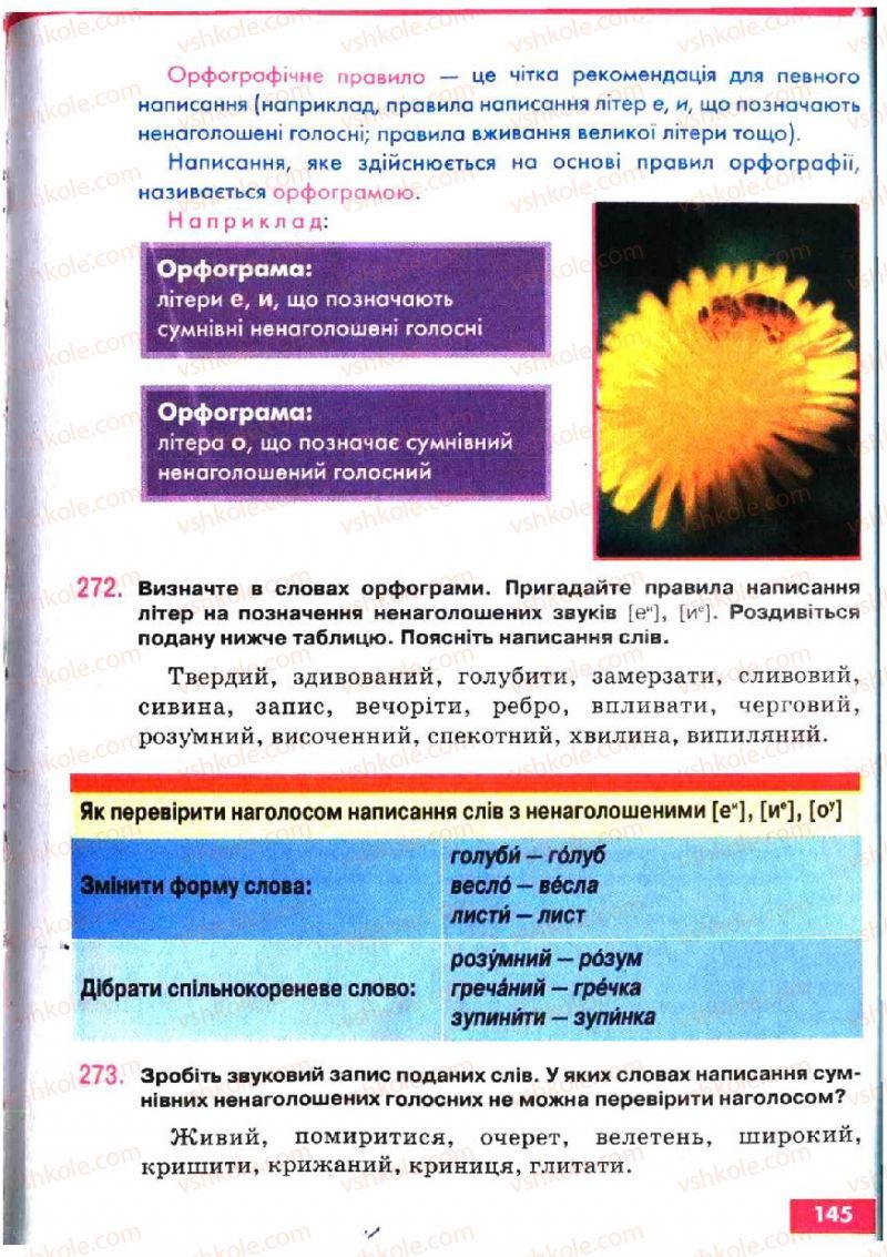 Страница 145 | Підручник Українська мова 5 клас О.П. Глазова, Ю.Б. Кузнецов 2005