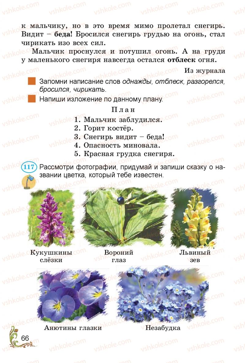 Страница 66 | Підручник Русский язык 3 клас Э.С. Сильнова, Н.Г. Каневская, В.Ф. Олейник 2014