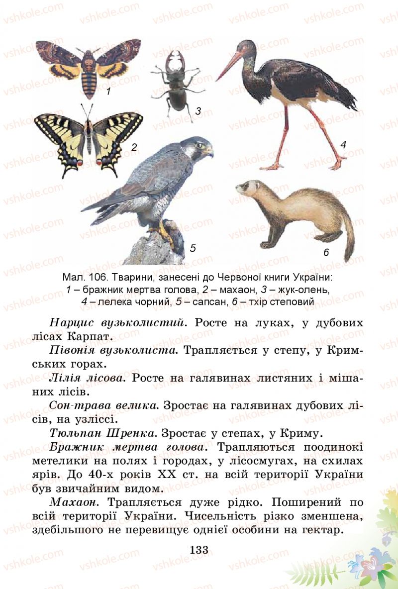 Страница 133 | Підручник Природознавство 3 клас Т.Г. Гільберг, Т.В. Сак 2014