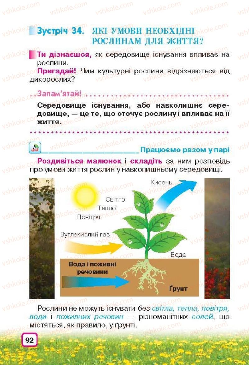 Страница 92 | Підручник Природознавство 3 клас І.В. Грущинська 2013