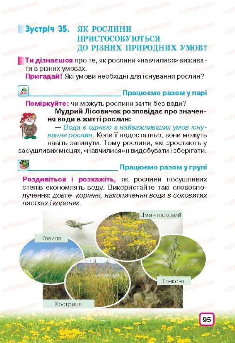 Страница 95 | Підручник Природознавство 3 клас І.В. Грущинська 2013