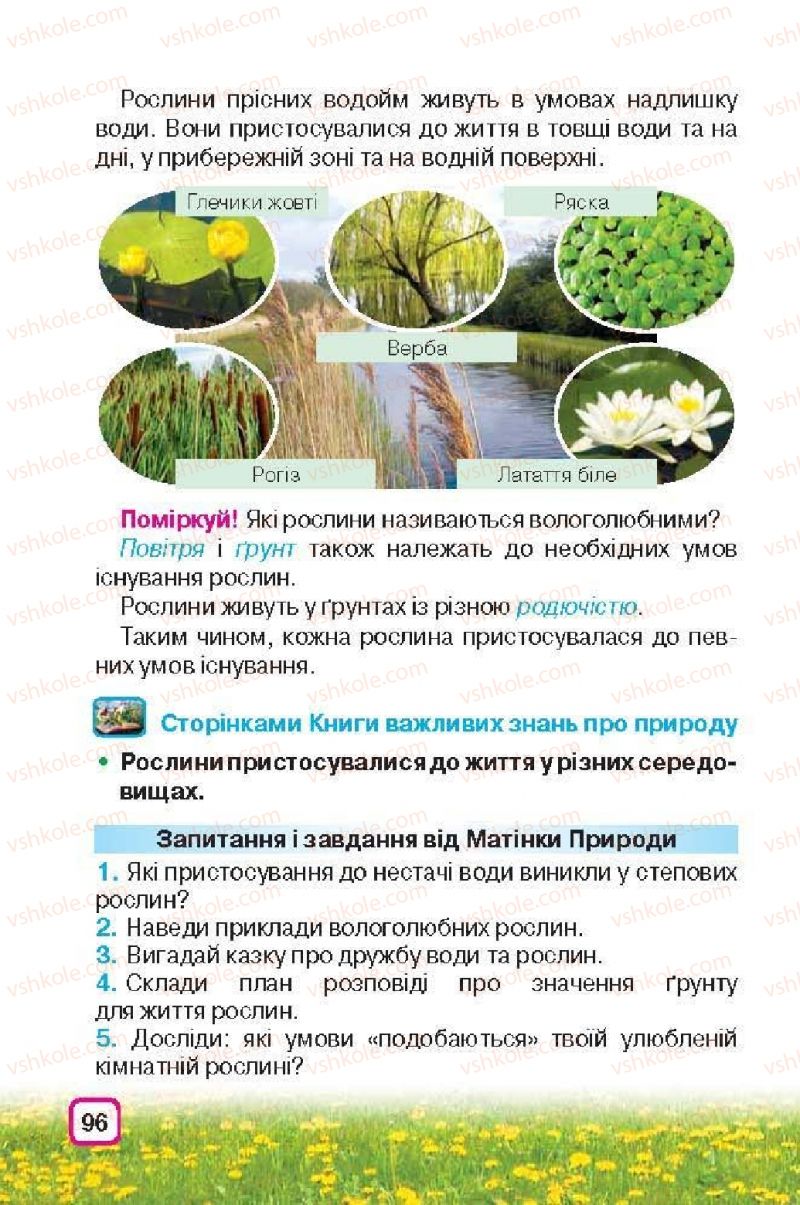 Страница 96 | Підручник Природознавство 3 клас І.В. Грущинська 2013
