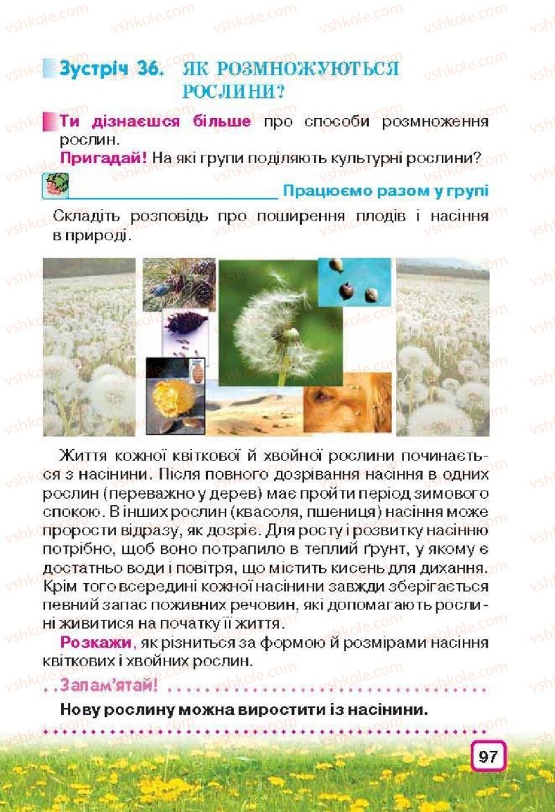 Страница 97 | Підручник Природознавство 3 клас І.В. Грущинська 2013