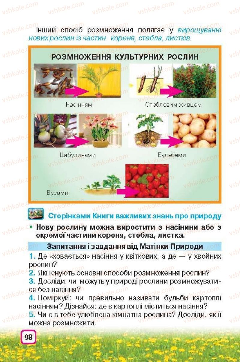 Страница 98 | Підручник Природознавство 3 клас І.В. Грущинська 2013