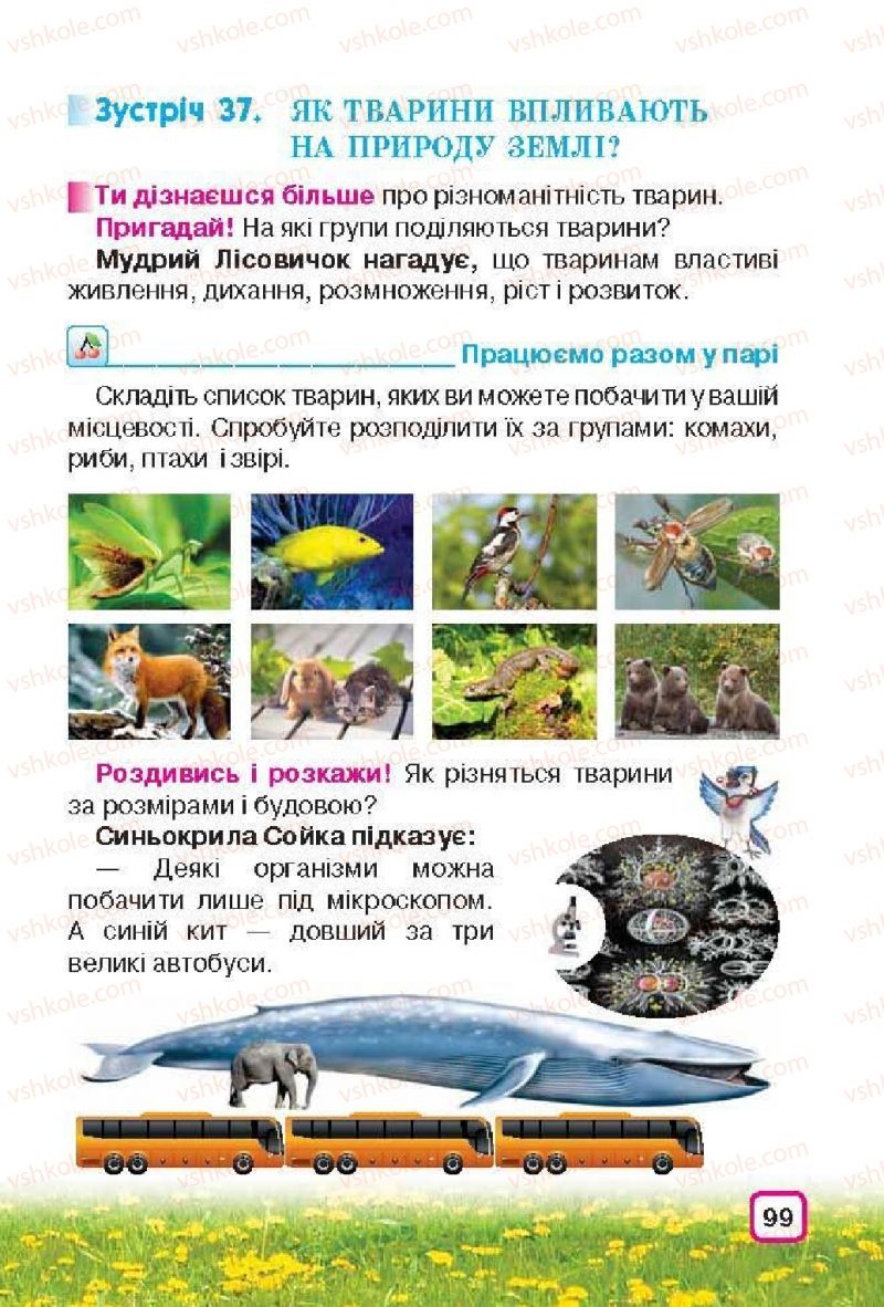 Страница 99 | Підручник Природознавство 3 клас І.В. Грущинська 2013