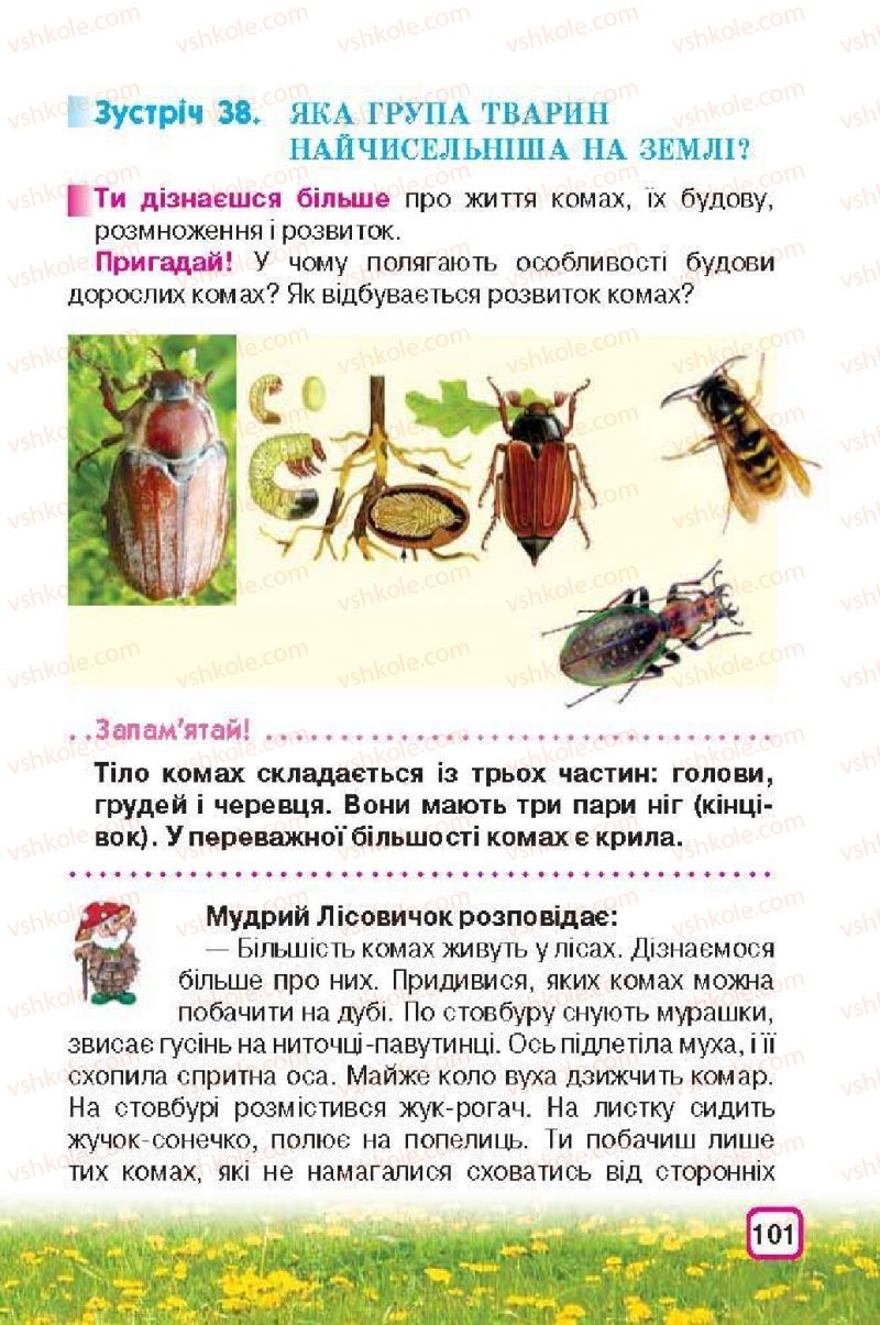 Страница 101 | Підручник Природознавство 3 клас І.В. Грущинська 2013