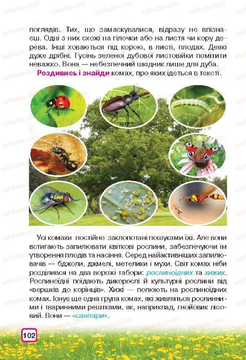Страница 102 | Підручник Природознавство 3 клас І.В. Грущинська 2013
