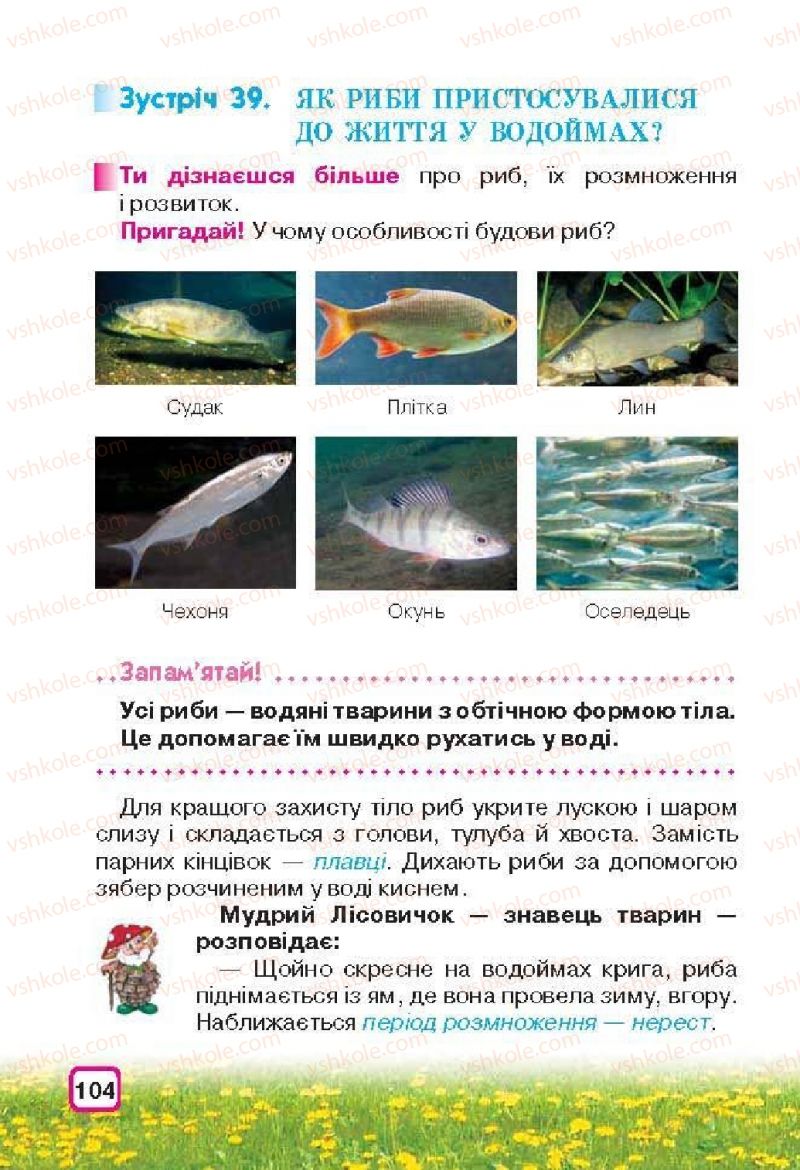 Страница 104 | Підручник Природознавство 3 клас І.В. Грущинська 2013