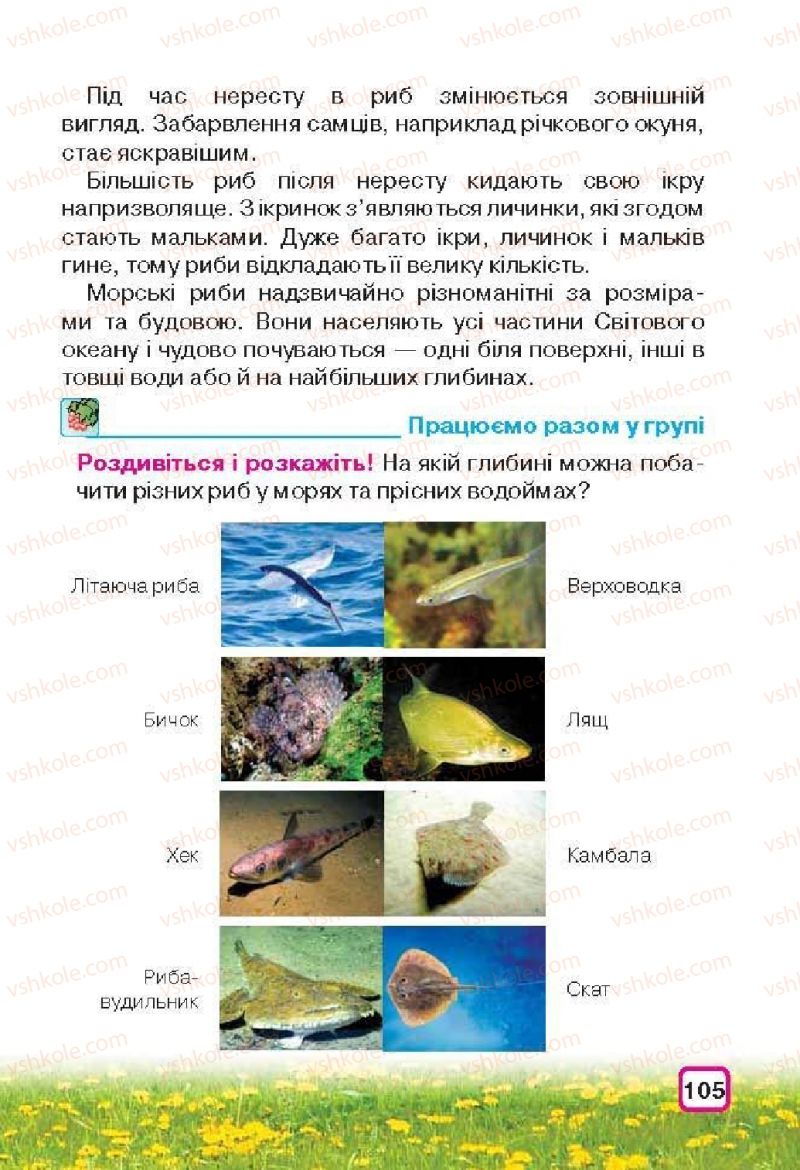 Страница 105 | Підручник Природознавство 3 клас І.В. Грущинська 2013