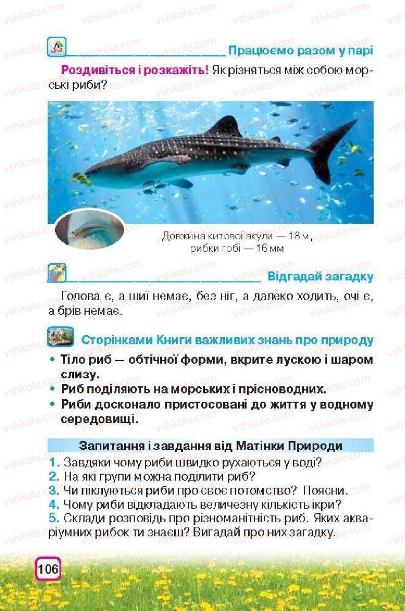 Страница 106 | Підручник Природознавство 3 клас І.В. Грущинська 2013