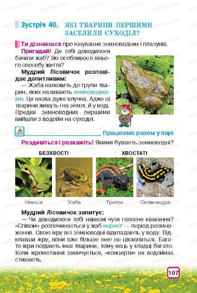 Страница 107 | Підручник Природознавство 3 клас І.В. Грущинська 2013