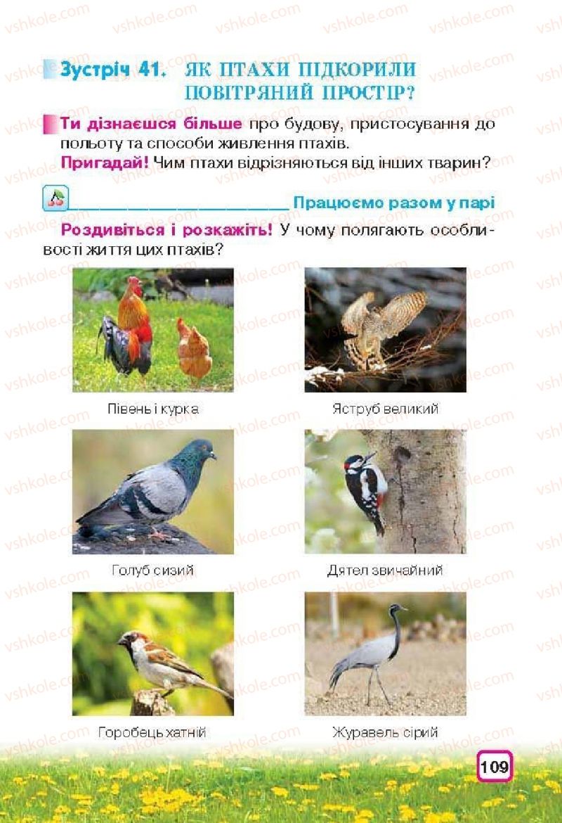 Страница 109 | Підручник Природознавство 3 клас І.В. Грущинська 2013