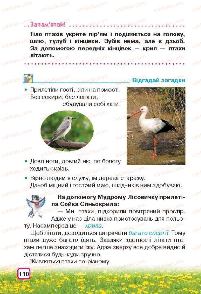 Страница 110 | Підручник Природознавство 3 клас І.В. Грущинська 2013