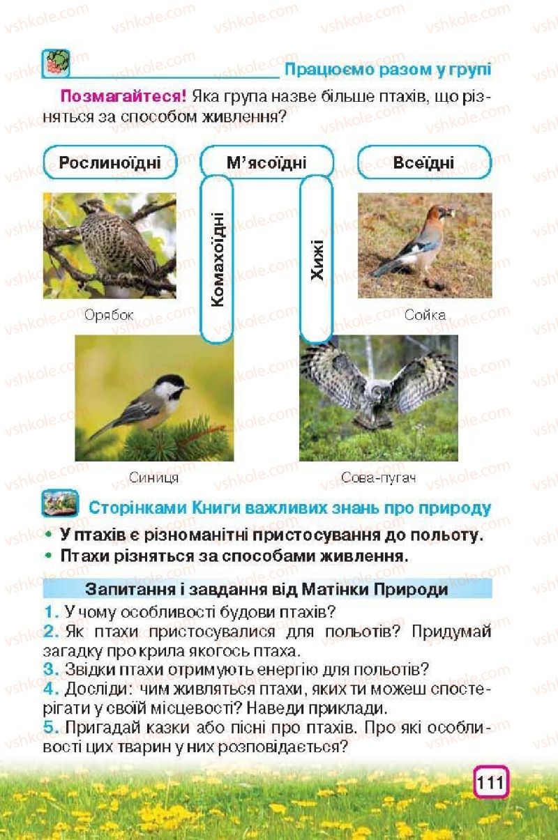 Страница 111 | Підручник Природознавство 3 клас І.В. Грущинська 2013