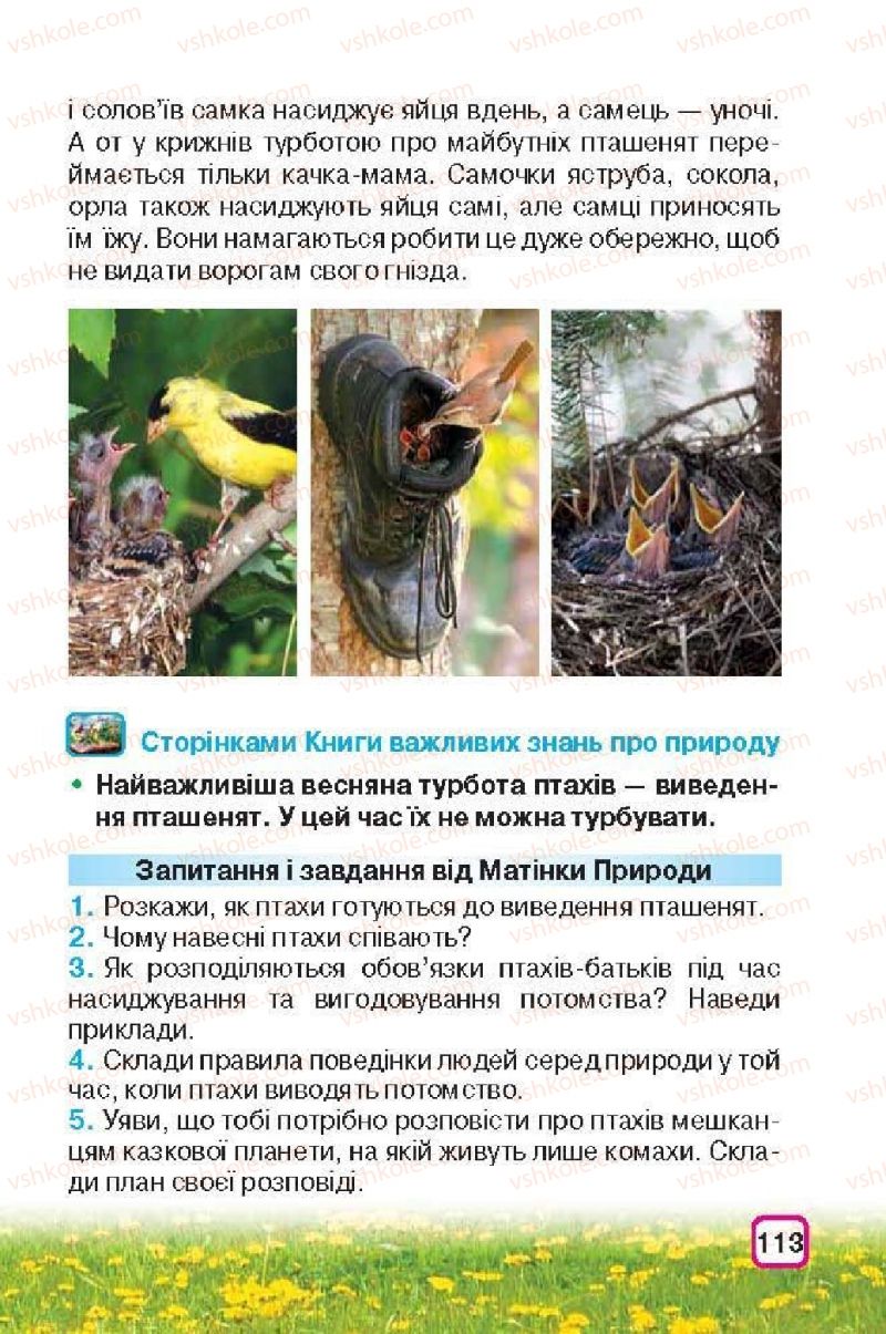 Страница 113 | Підручник Природознавство 3 клас І.В. Грущинська 2013