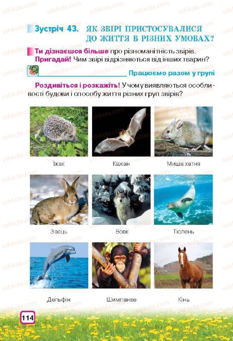 Страница 114 | Підручник Природознавство 3 клас І.В. Грущинська 2013