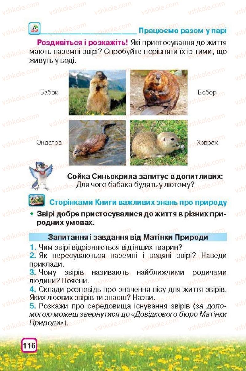 Страница 116 | Підручник Природознавство 3 клас І.В. Грущинська 2013