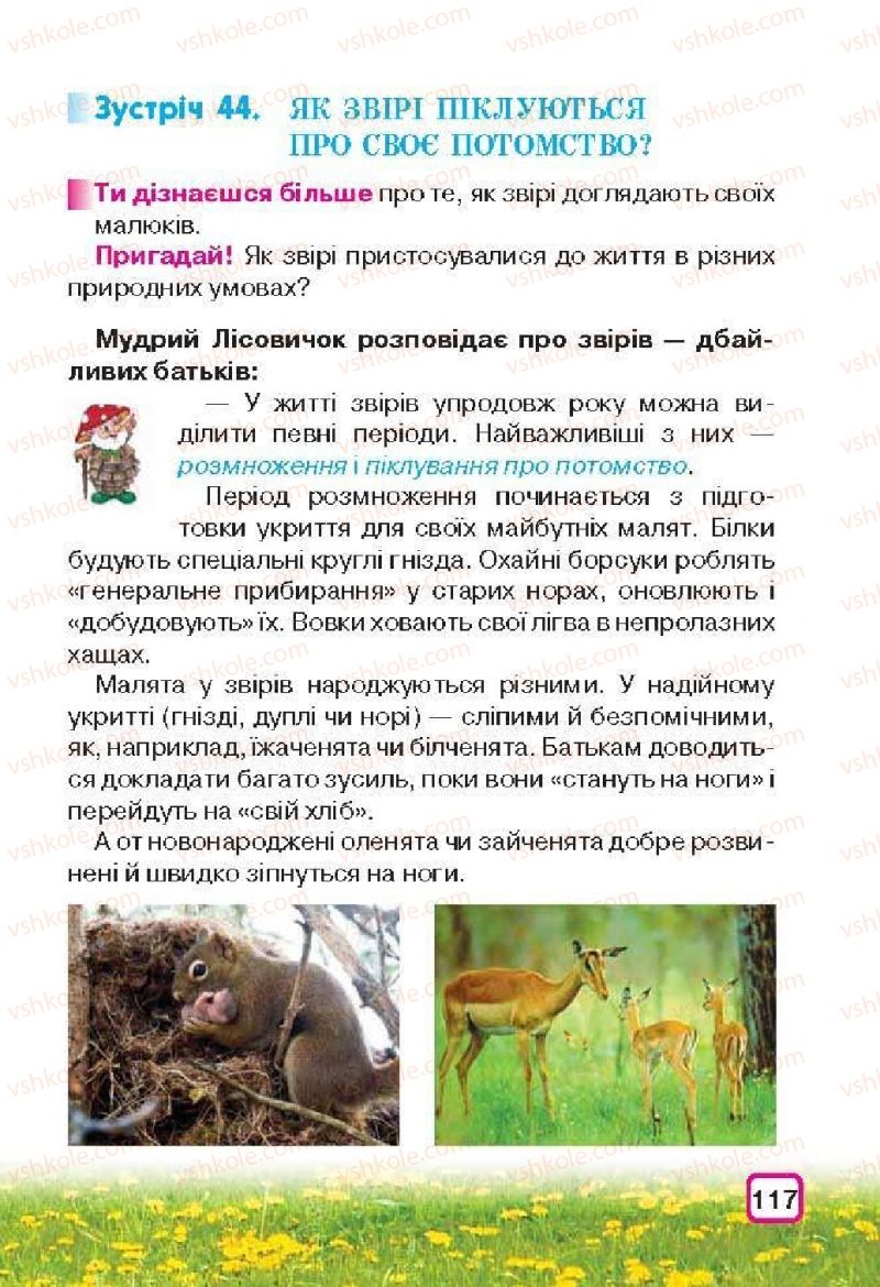 Страница 117 | Підручник Природознавство 3 клас І.В. Грущинська 2013