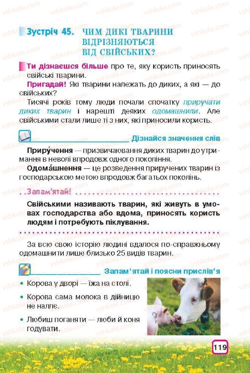 Страница 119 | Підручник Природознавство 3 клас І.В. Грущинська 2013