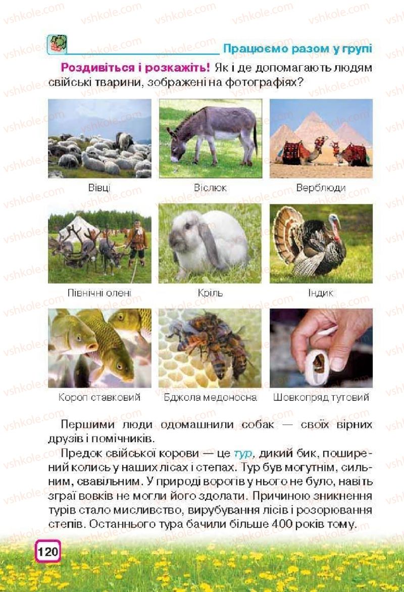 Страница 120 | Підручник Природознавство 3 клас І.В. Грущинська 2013