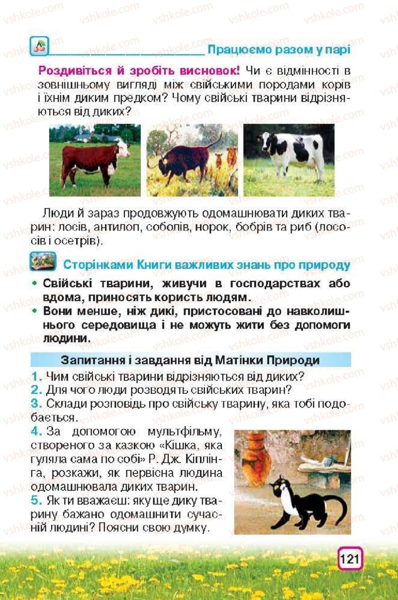 Страница 121 | Підручник Природознавство 3 клас І.В. Грущинська 2013
