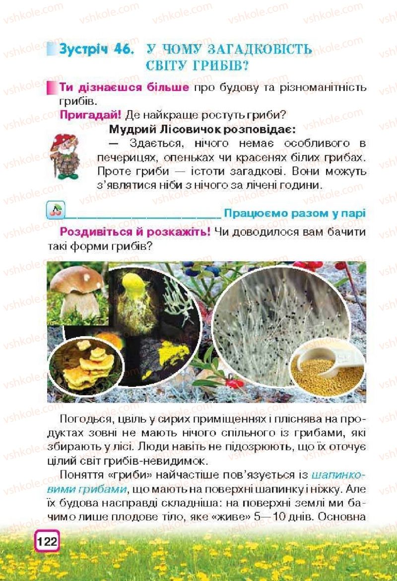 Страница 122 | Підручник Природознавство 3 клас І.В. Грущинська 2013