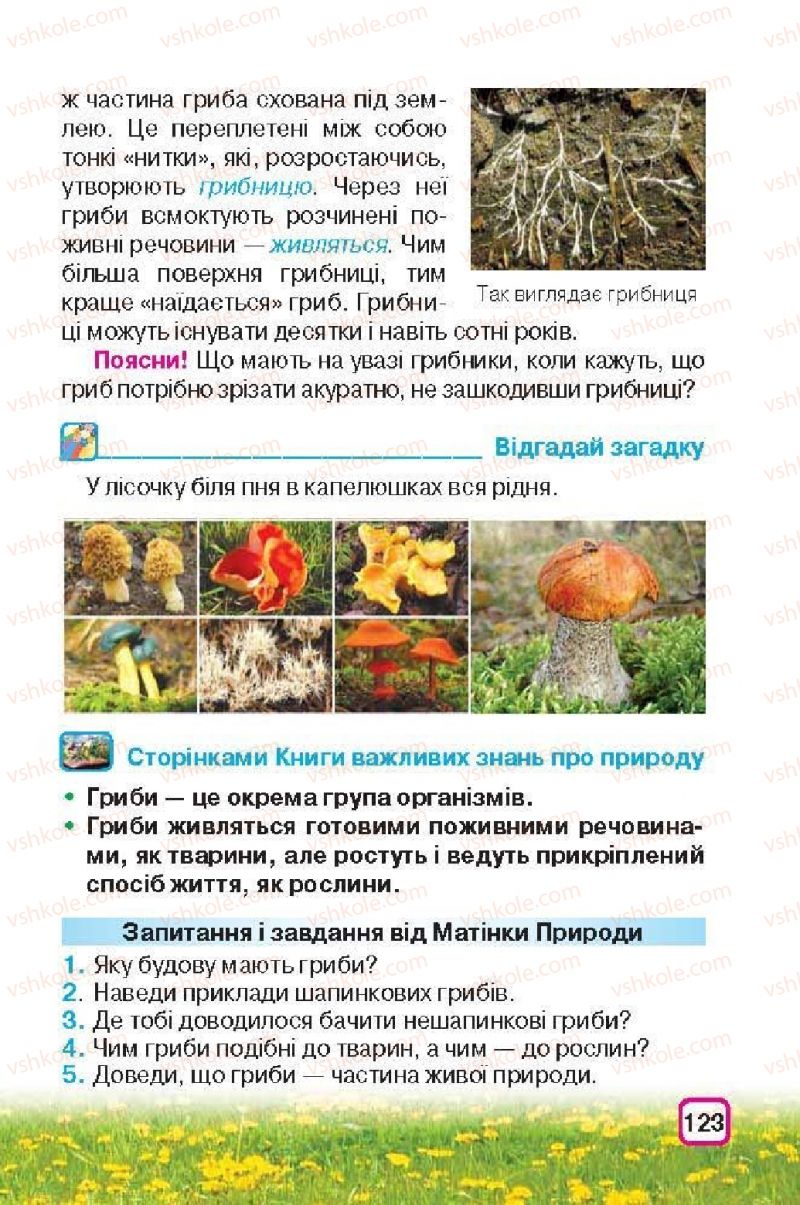 Страница 123 | Підручник Природознавство 3 клас І.В. Грущинська 2013