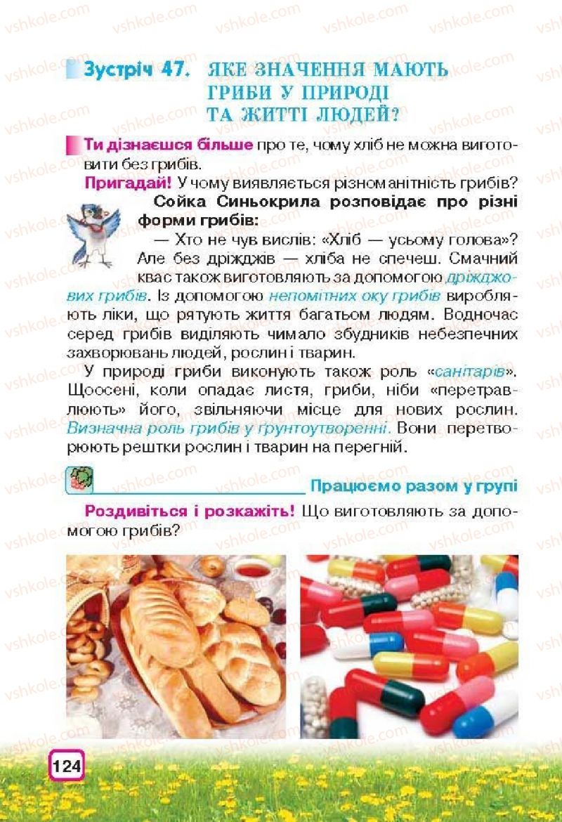 Страница 124 | Підручник Природознавство 3 клас І.В. Грущинська 2013
