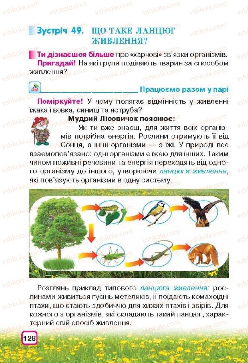 Страница 128 | Підручник Природознавство 3 клас І.В. Грущинська 2013