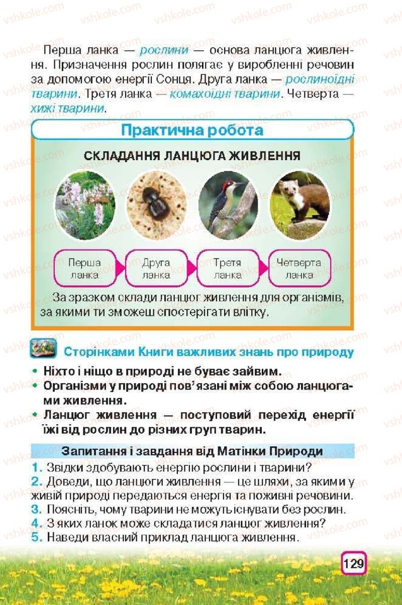 Страница 129 | Підручник Природознавство 3 клас І.В. Грущинська 2013