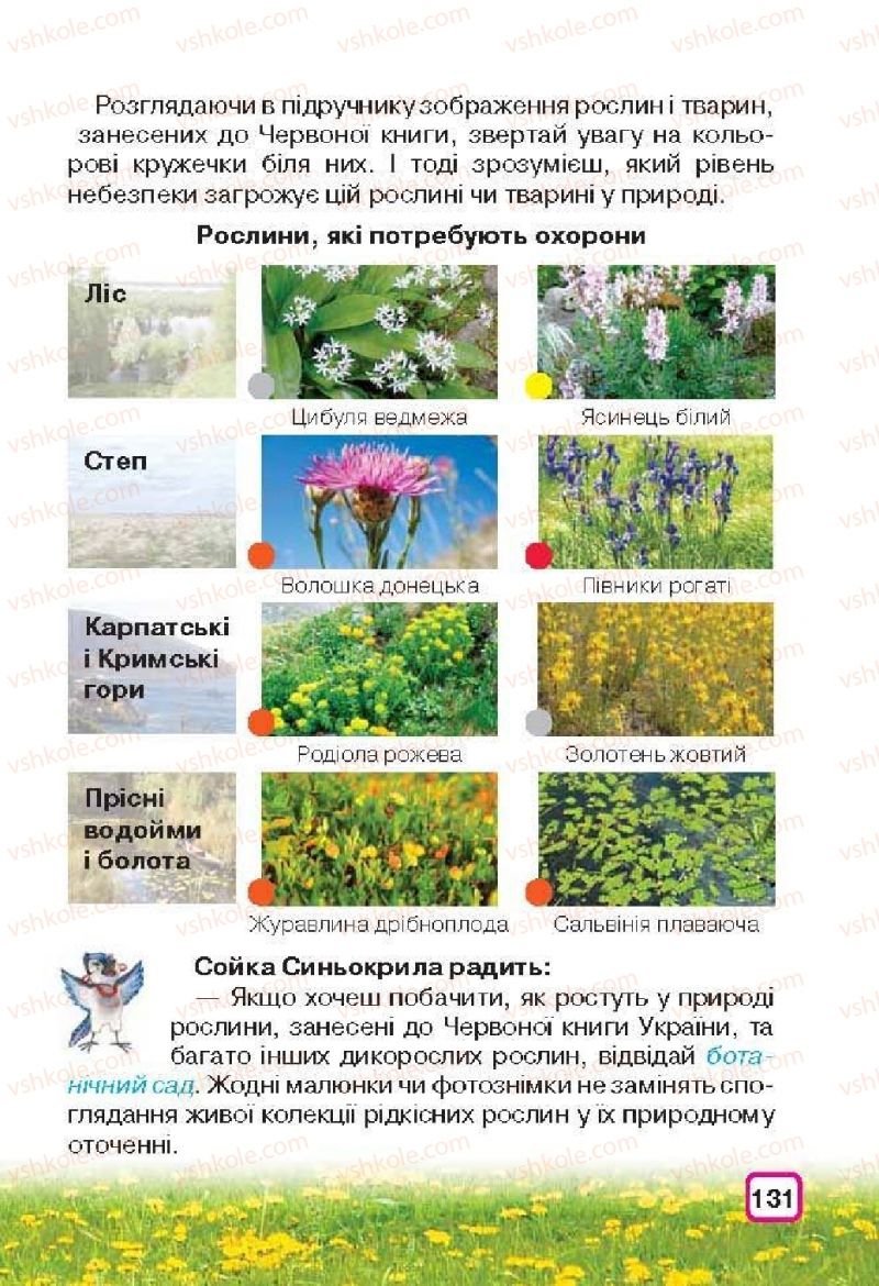 Страница 131 | Підручник Природознавство 3 клас І.В. Грущинська 2013