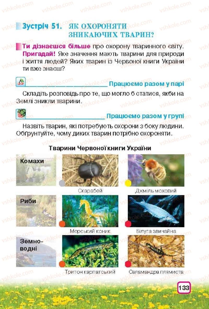 Страница 133 | Підручник Природознавство 3 клас І.В. Грущинська 2013