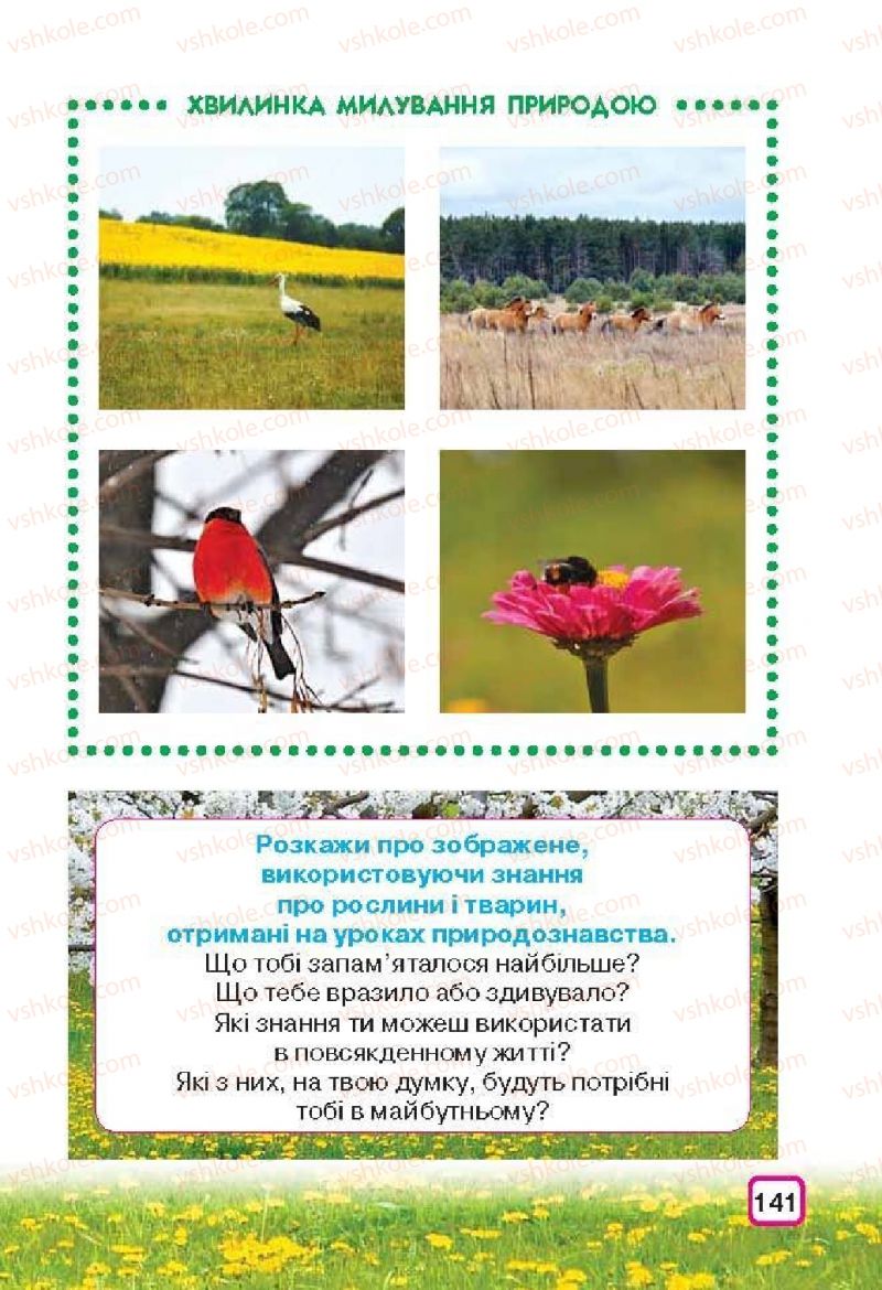 Страница 141 | Підручник Природознавство 3 клас І.В. Грущинська 2013